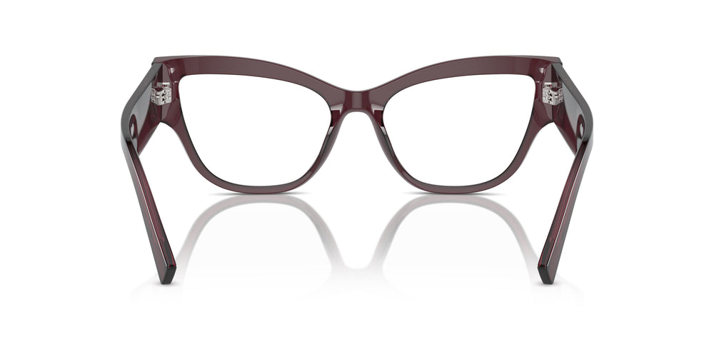 Dolce &amp; Gabbana DG3378 3045 55