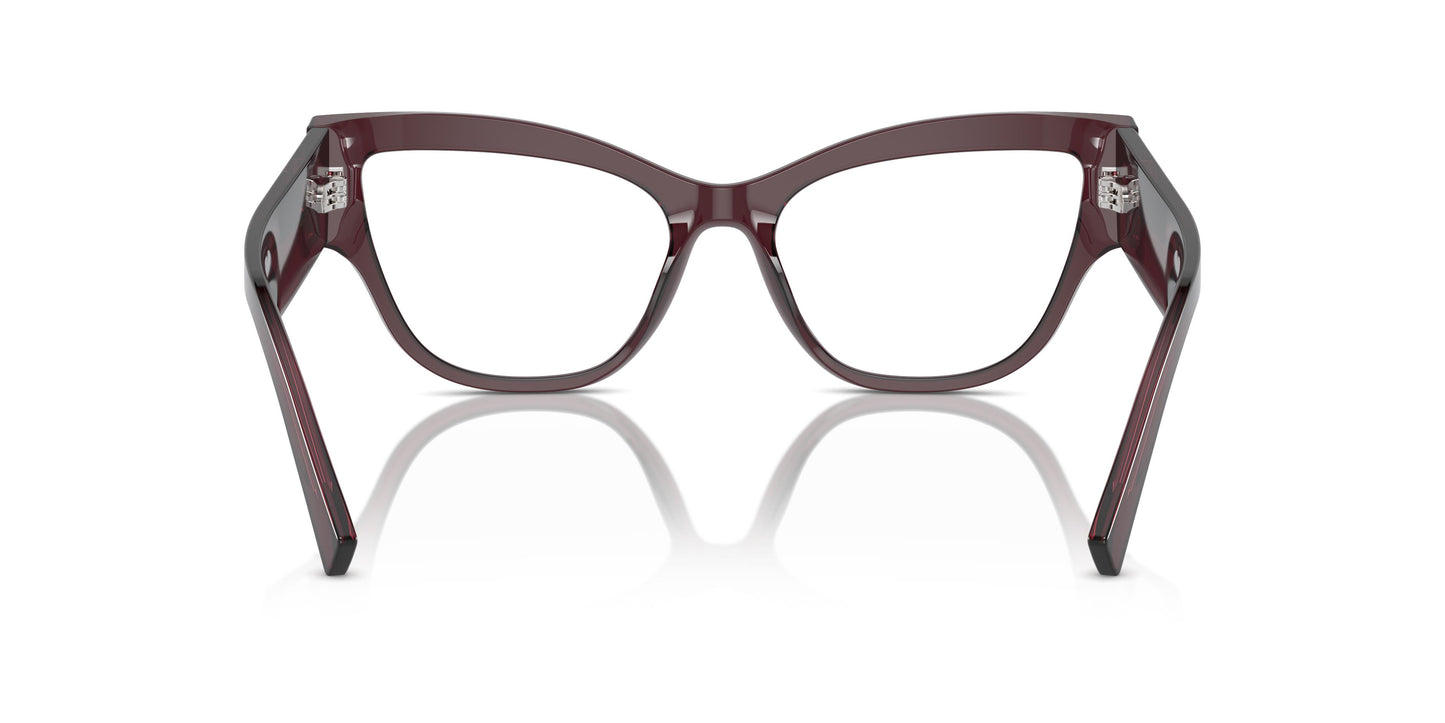 Dolce & Gabbana DG3378 3045 55