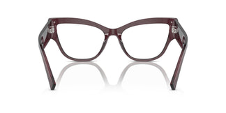 Dolce & Gabbana DG3378 3045 55