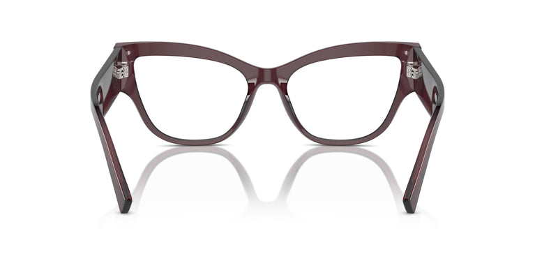 Dolce & Gabbana DG3378 3045 55