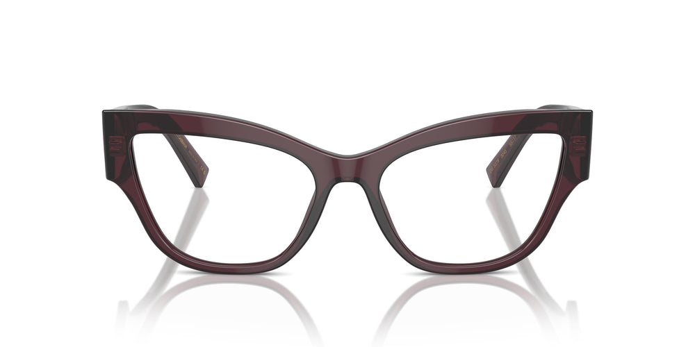 Dolce &amp; Gabbana DG3378 3045 55
