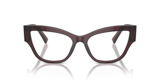 Dolce & Gabbana DG3378 3045 55