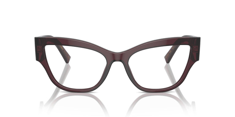Dolce & Gabbana DG3378 3045 55