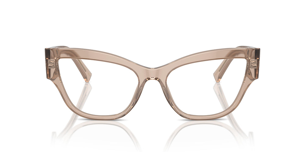 Dolce &amp; Gabbana DG3378 3432 55