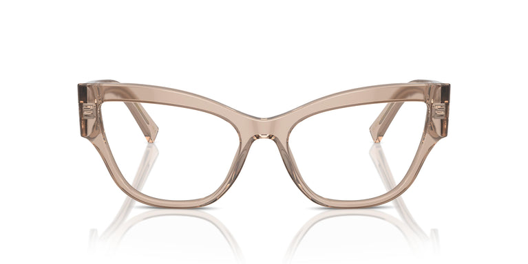 Dolce & Gabbana DG3378 3432 55