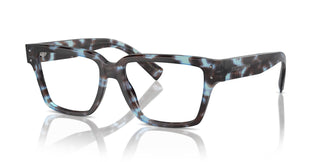 Dolce & Gabbana DG3383 3392 53