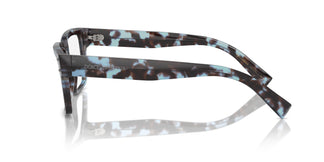 Dolce & Gabbana DG3383 3392 53