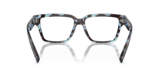 Dolce & Gabbana DG3383 3392 53