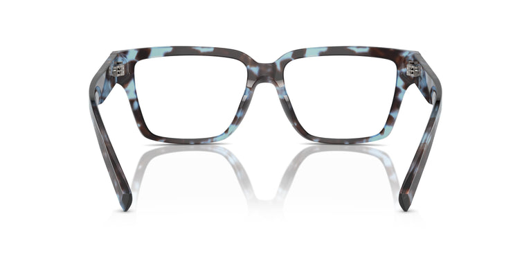 Dolce & Gabbana DG3383 3392 53