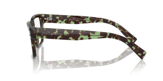 Dolce &amp; Gabbana DG3383 3432 53