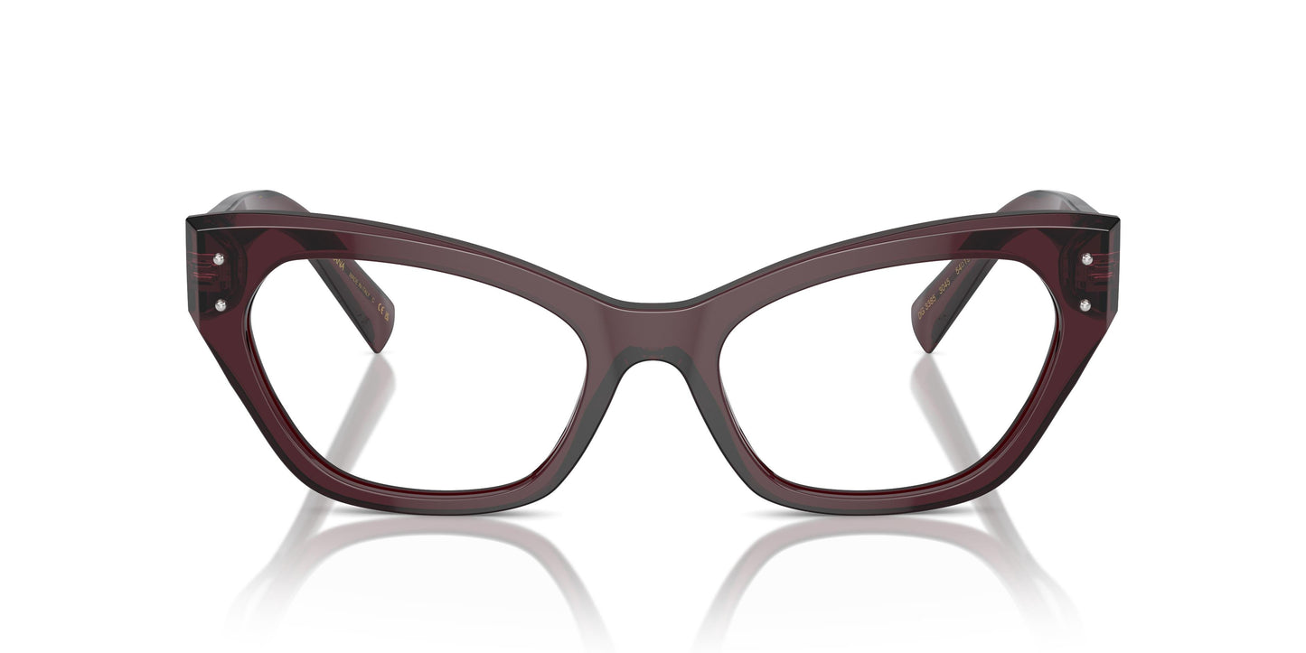 Dolce & Gabbana DG3385 3045 54