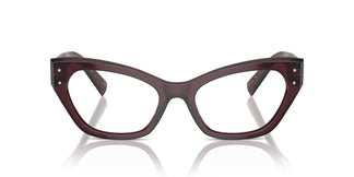Dolce & Gabbana DG3385 3045 54
