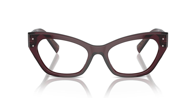 Dolce & Gabbana DG3385 3045 54