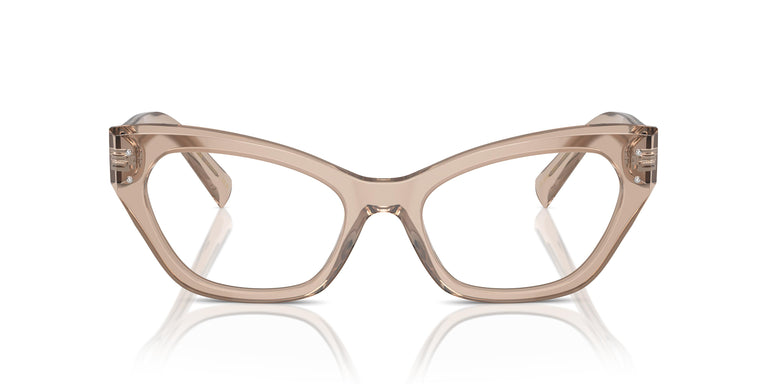Dolce & Gabbana DG3385 3432 54
