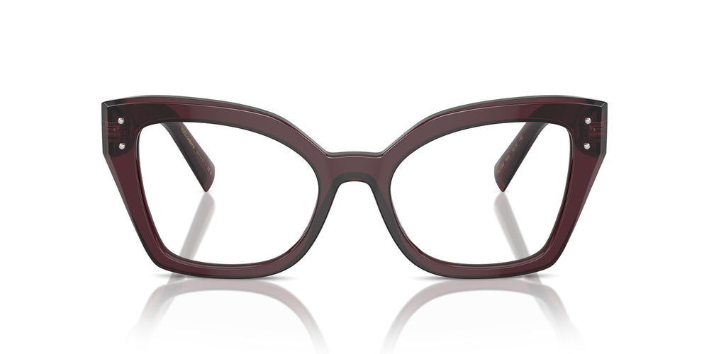 Dolce & Gabbana DG3386 3045 53