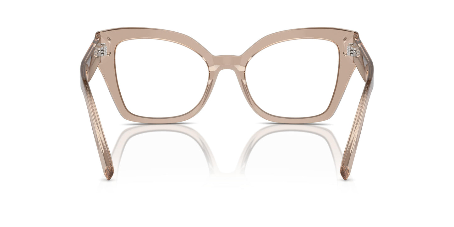 Dolce & Gabbana DG3386 3432 53