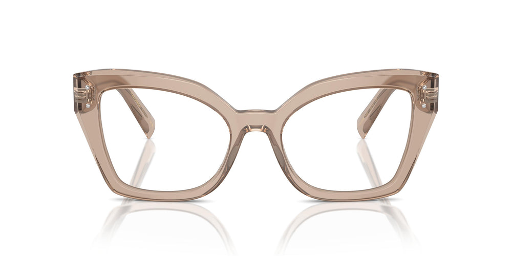 Dolce & Gabbana DG3386 3432 53