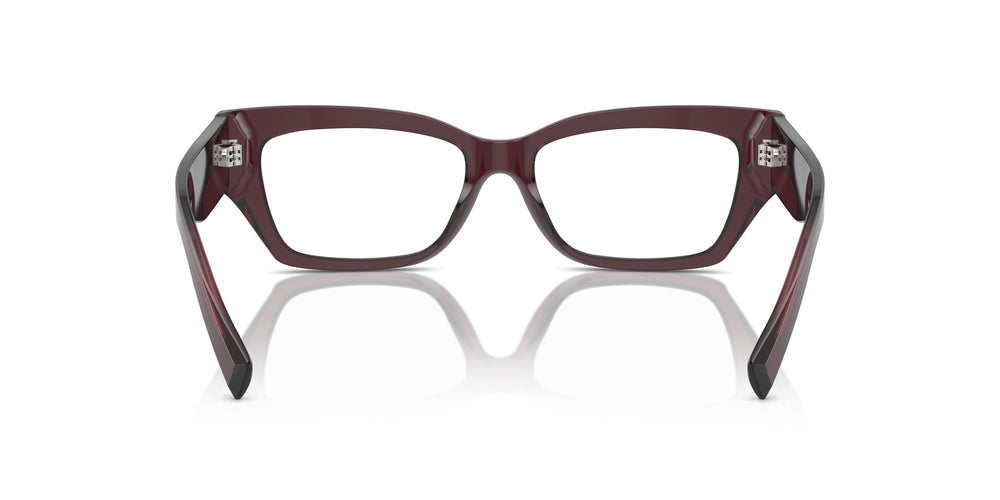 Dolce & Gabbana DG3387 3045 51