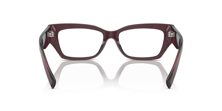 Dolce &amp; Gabbana DG3387 3045 51