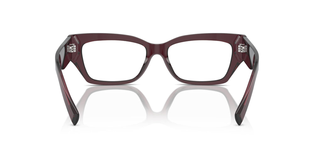 Dolce & Gabbana DG3387 3045 53