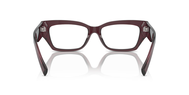Dolce & Gabbana DG3387 3045 53