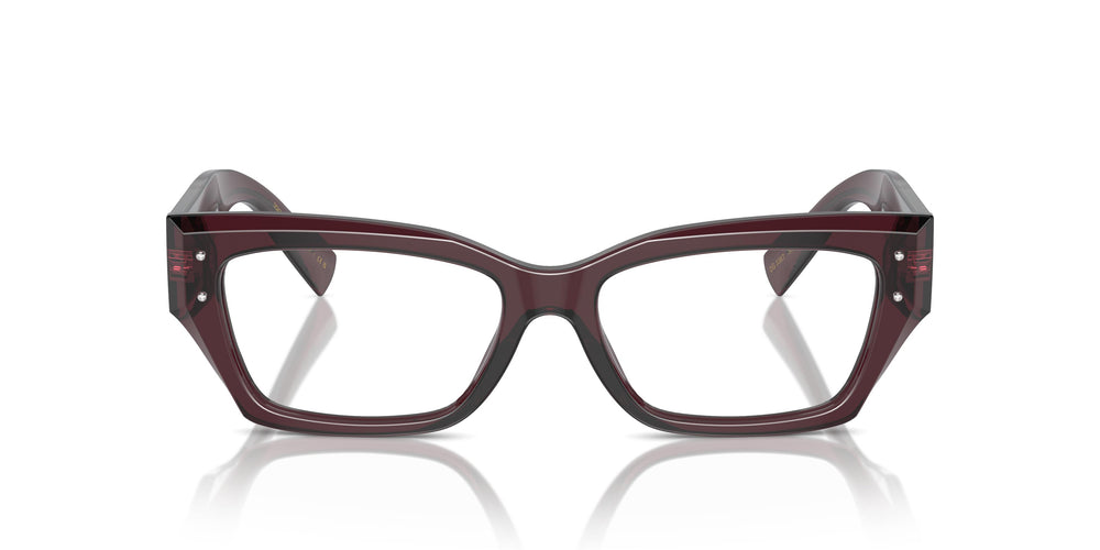Dolce & Gabbana DG3387 3045 51