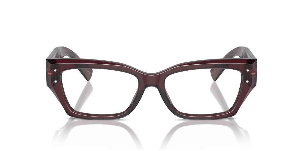 Dolce & Gabbana DG3387 3045 53
