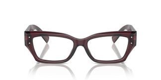 Dolce & Gabbana DG3387 3045 53