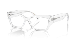 Dolce & Gabbana DG3387 3133 53