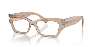 Dolce & Gabbana DG3387 3432 53