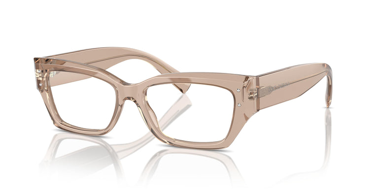 Dolce & Gabbana DG3387 3432 53