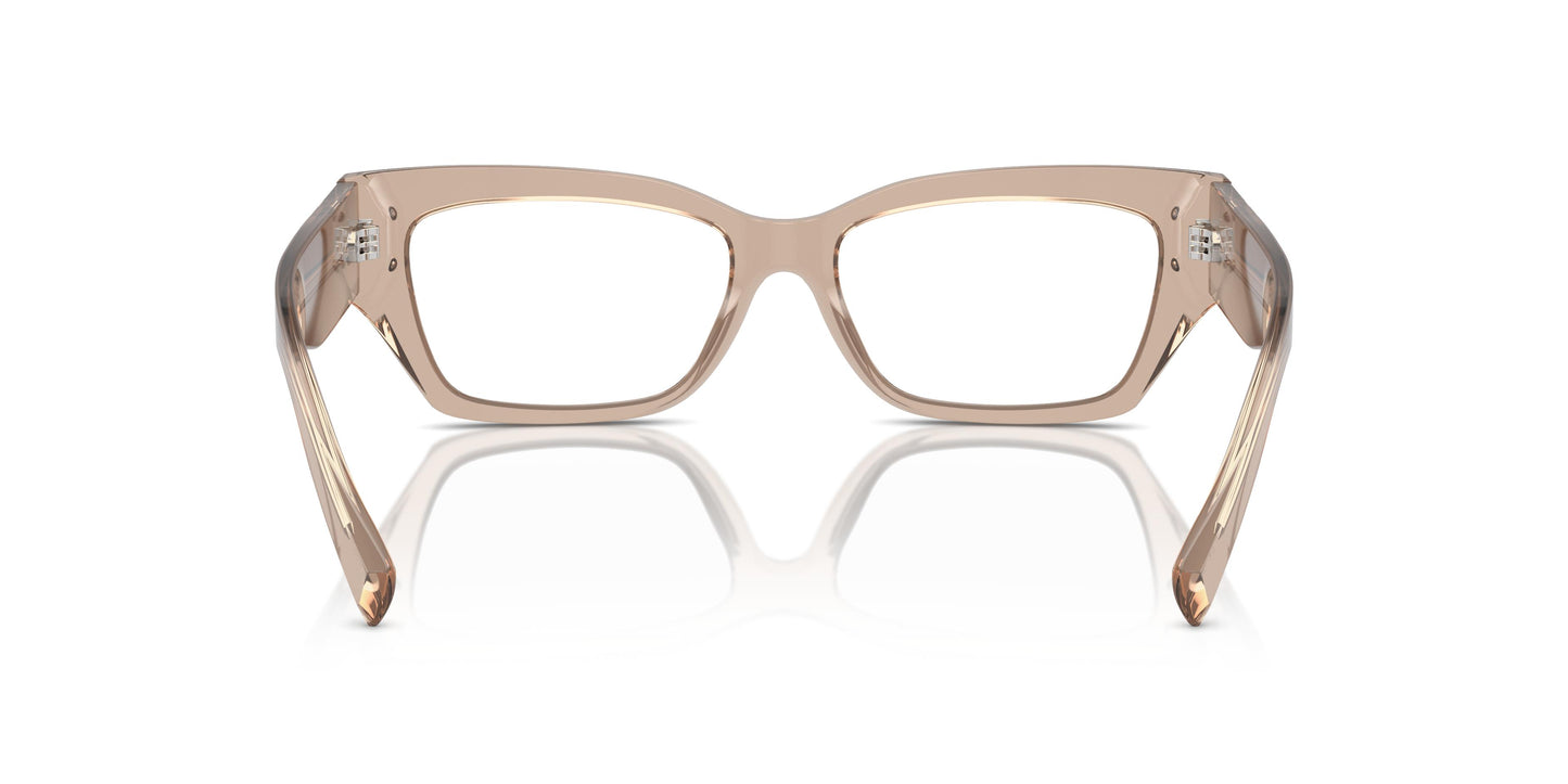 Dolce & Gabbana DG3387 3432 51
