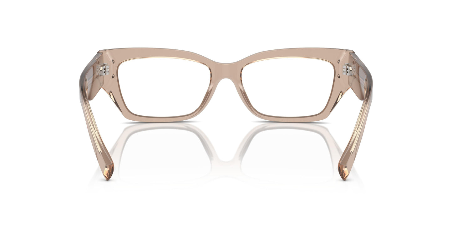 Dolce & Gabbana DG3387 3432 53