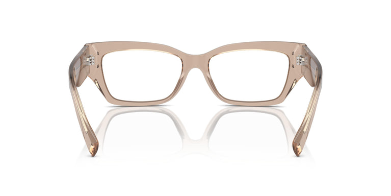 Dolce & Gabbana DG3387 3432 53