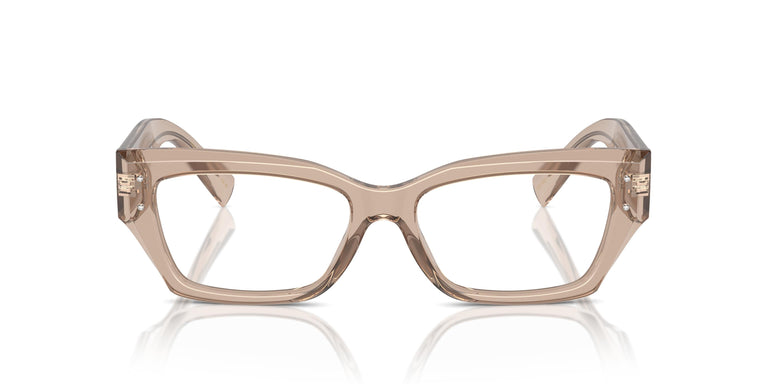Dolce & Gabbana DG3387 3432 53