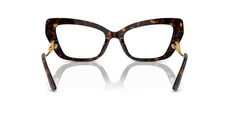 Dolce & Gabbana DG3391B 502 56