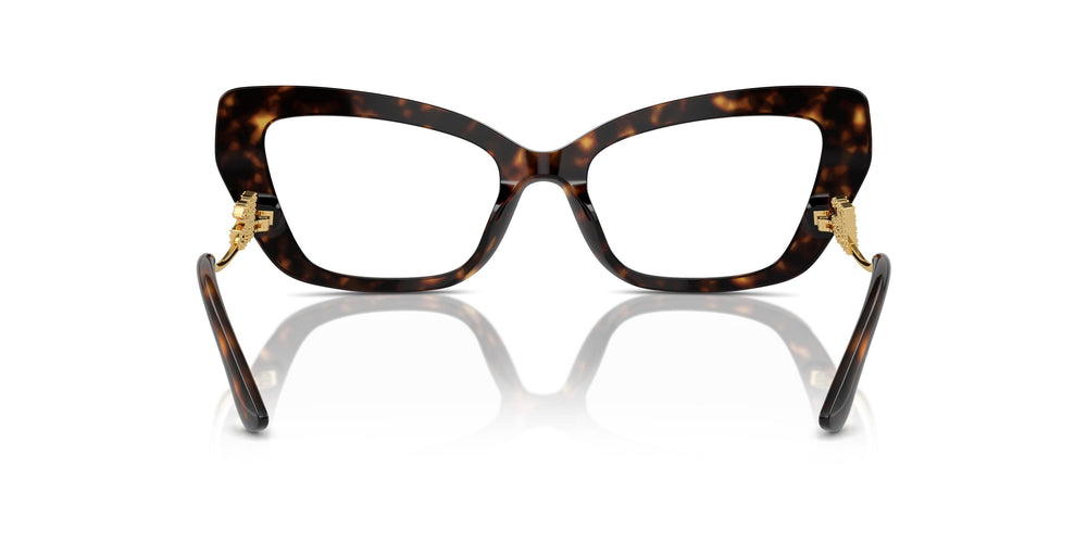 Dolce & Gabbana DG3392 3217 52