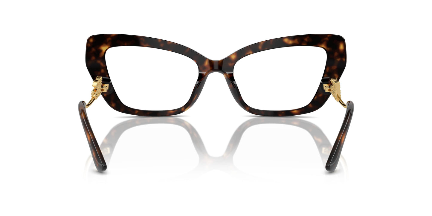 Dolce & Gabbana DG3392 3217 52