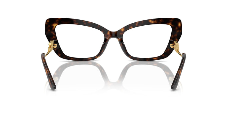 Dolce & Gabbana DG3392 3217 52