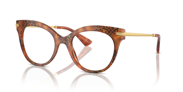 Dolce & Gabbana DG3392 3432 52
