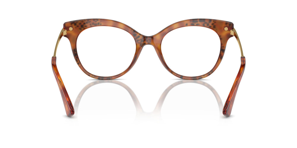 Dolce & Gabbana DG3392 3432 52