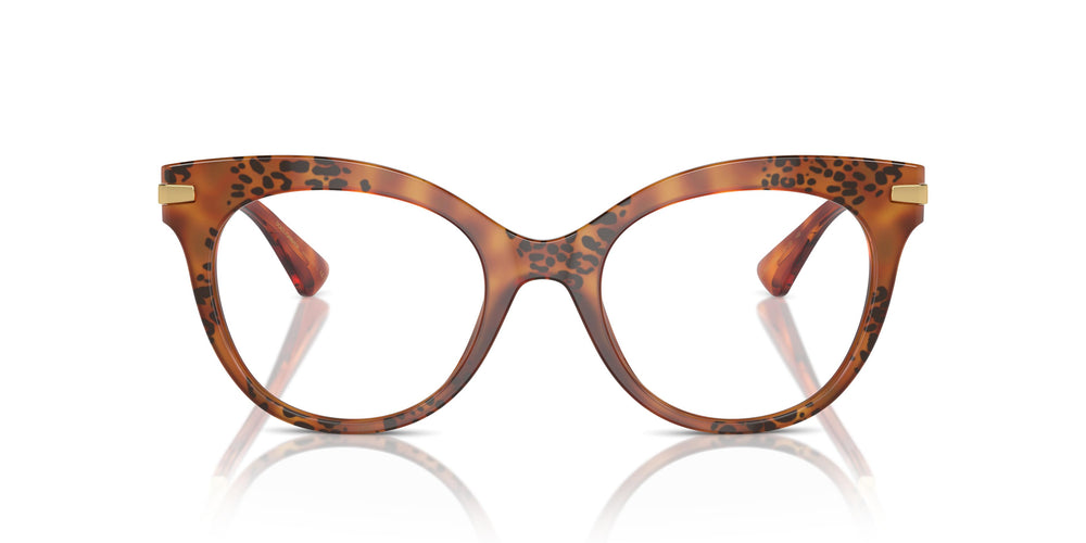 Dolce & Gabbana DG3392 3432 52