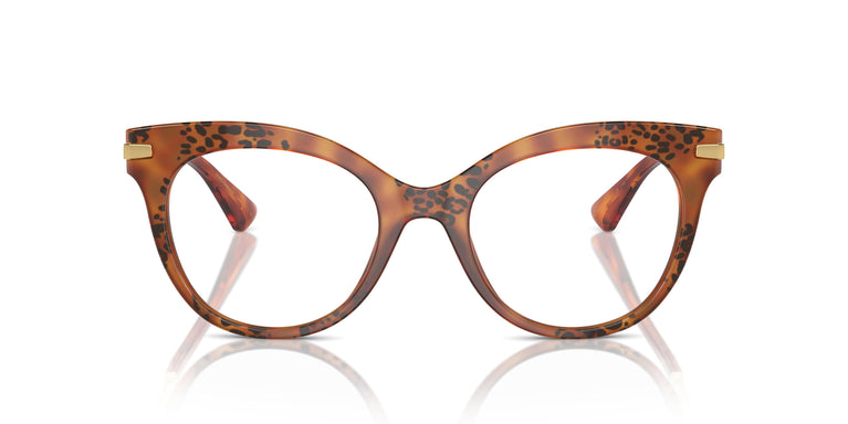 Dolce & Gabbana DG3392 3432 52