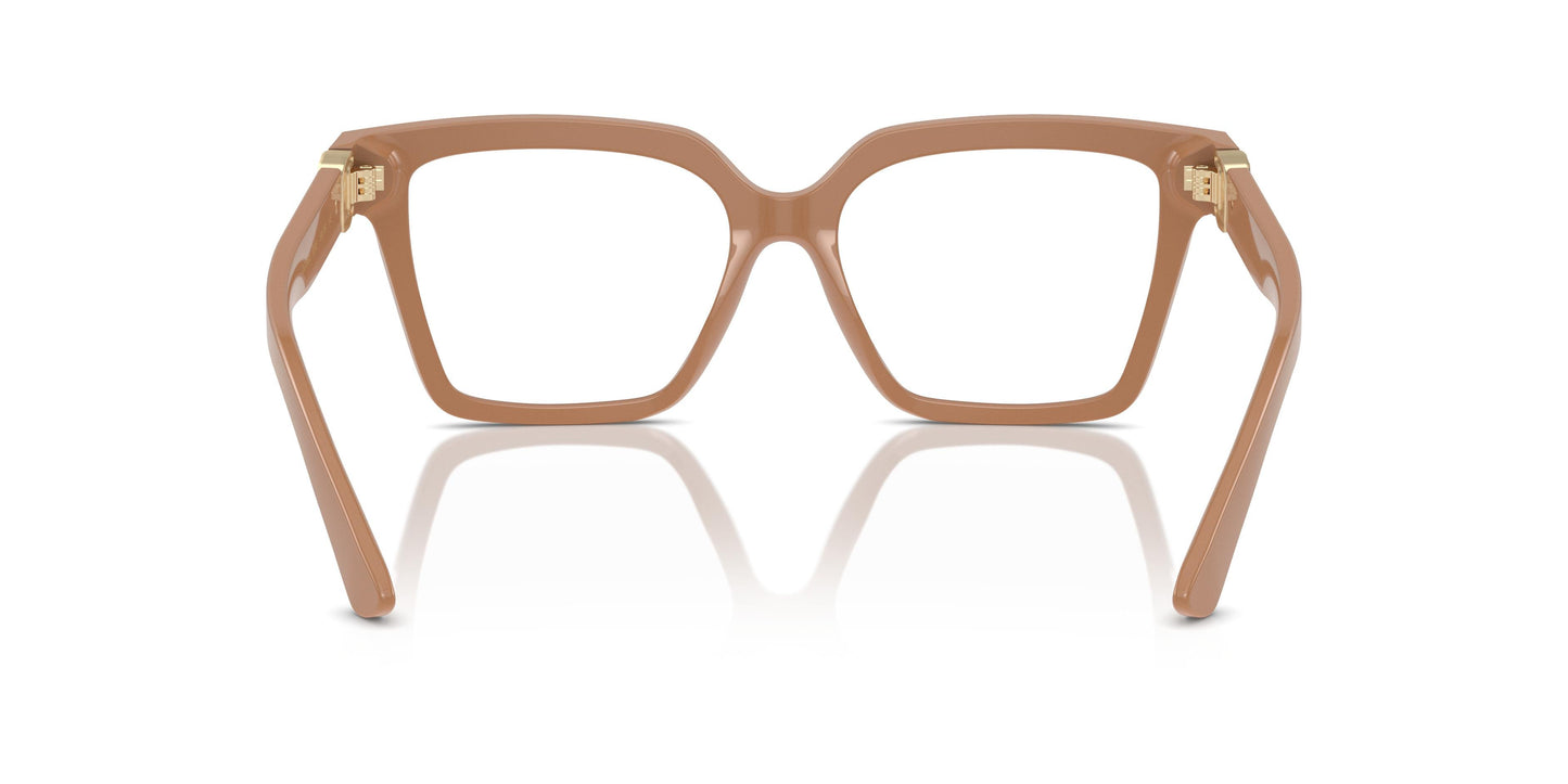 Dolce & Gabbana DG3395 3292 51
