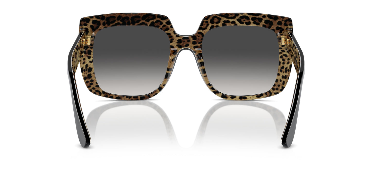 Dolce & Gabbana DG4414 32998G 54