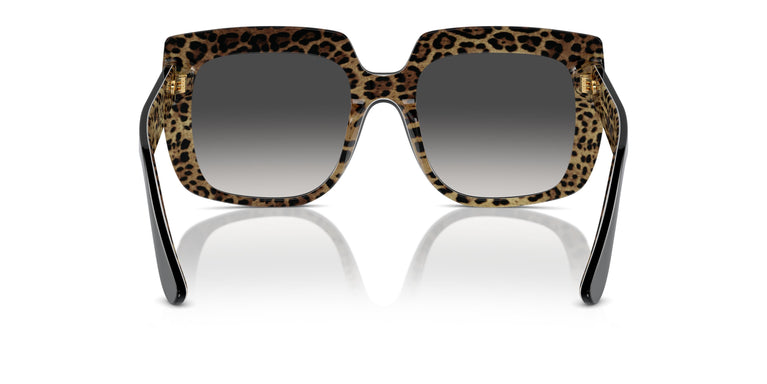 Dolce & Gabbana DG4414 32998G 54