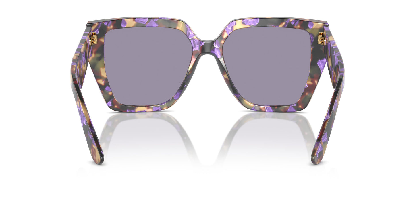 Dolce & Gabbana DG4438 3439/1 55