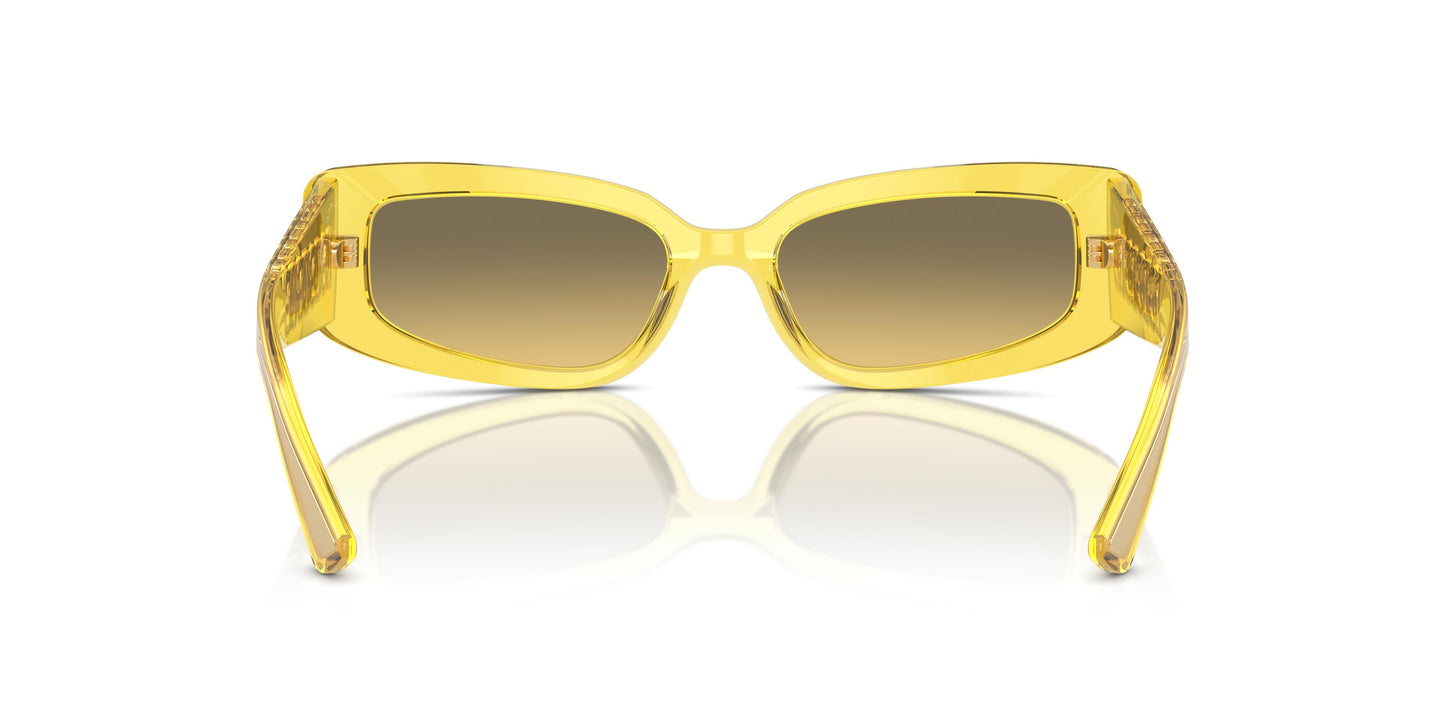 Dolce & Gabbana DG4445 343311 54