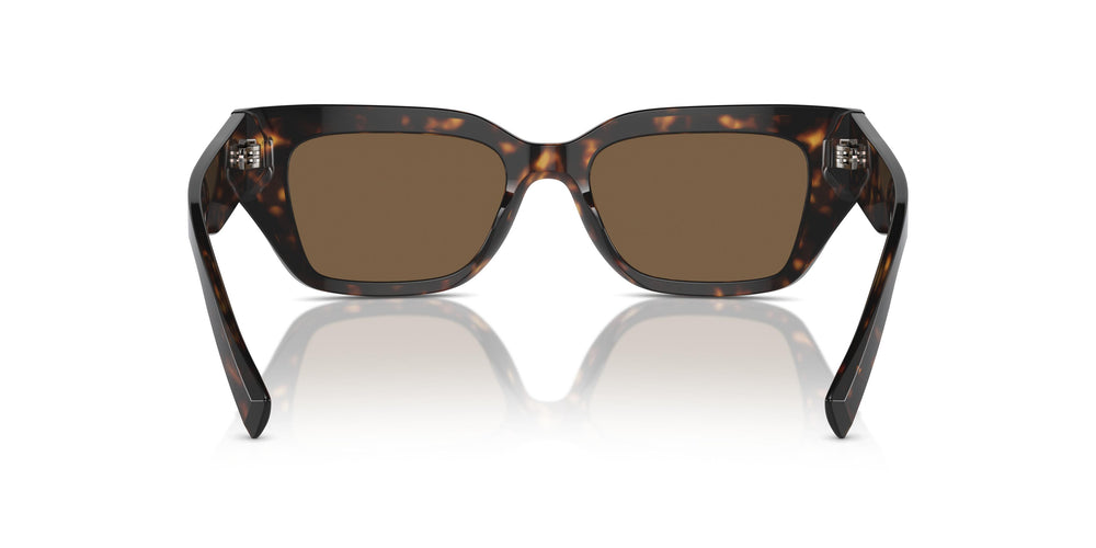 Dolce & Gabbana DG4462 502/73 52