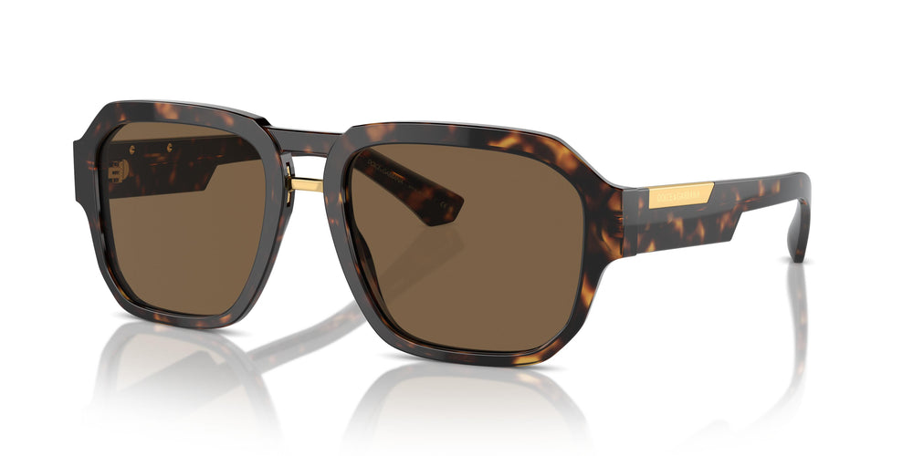 Dolce & Gabbana DG4464 502/73 56